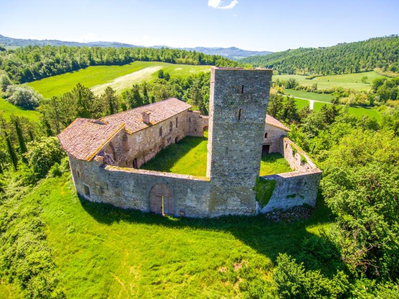 Titolo: Dante in Umbria 